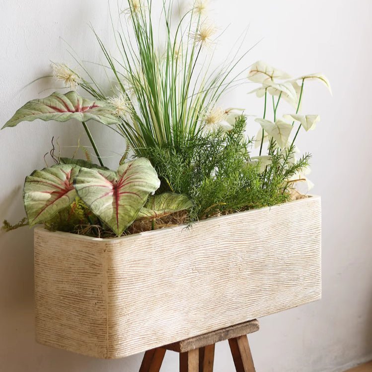 Modern Rectangular Textured Planter - Cheeky Garden