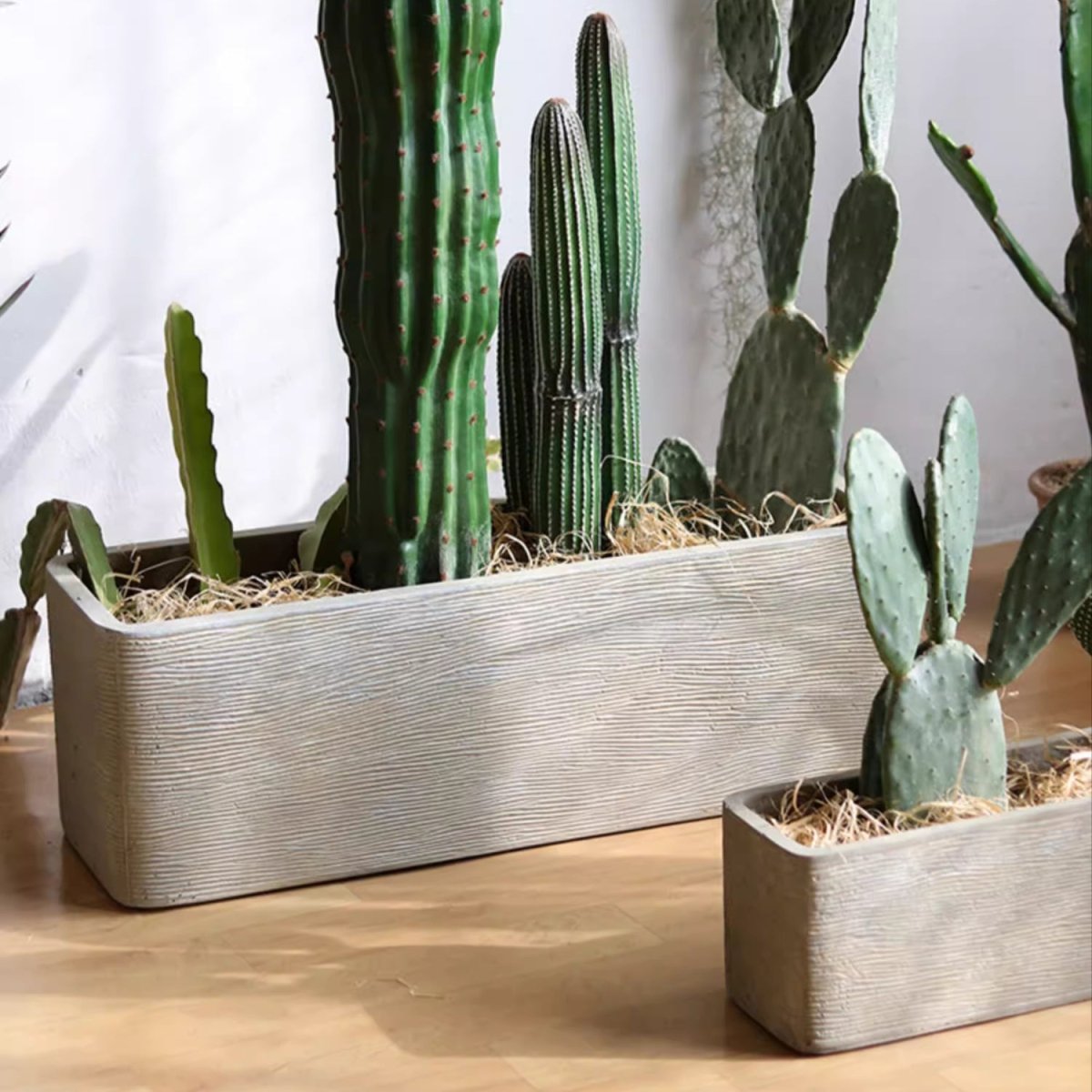Modern Rectangular Textured Planter - Cheeky Garden
