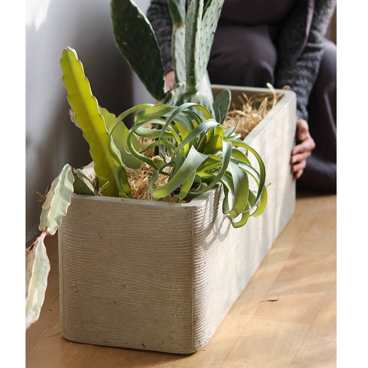 Modern Rectangular Textured Planter - Cheeky Garden