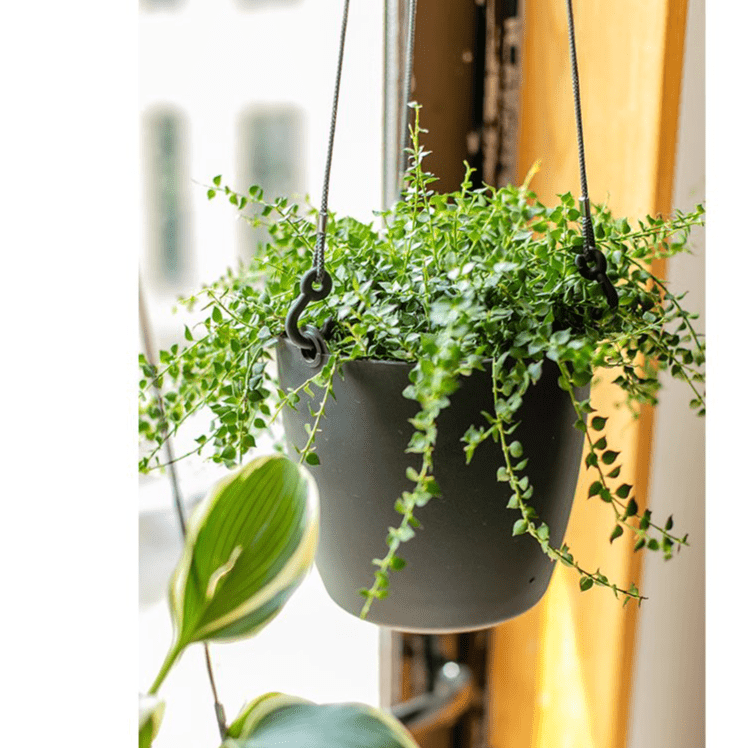 Modern Resin Hanging Planter for Artificial Plants - Cheeky Garden