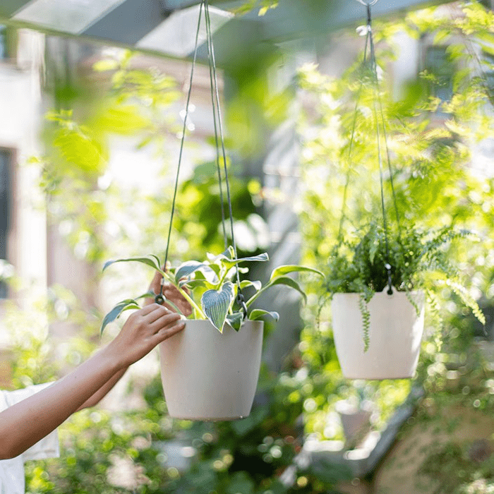 Modern Resin Hanging Planter for Artificial Plants - Cheeky Garden