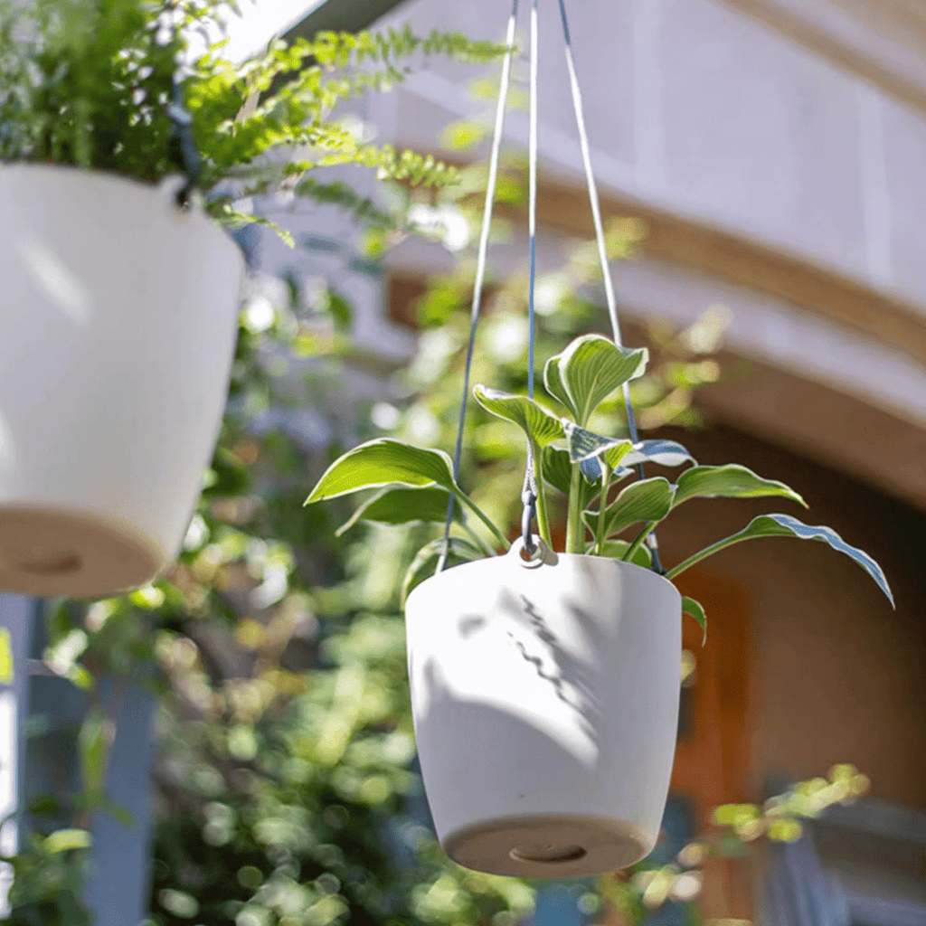 Modern Resin Hanging Planter for Artificial Plants - Cheeky Garden
