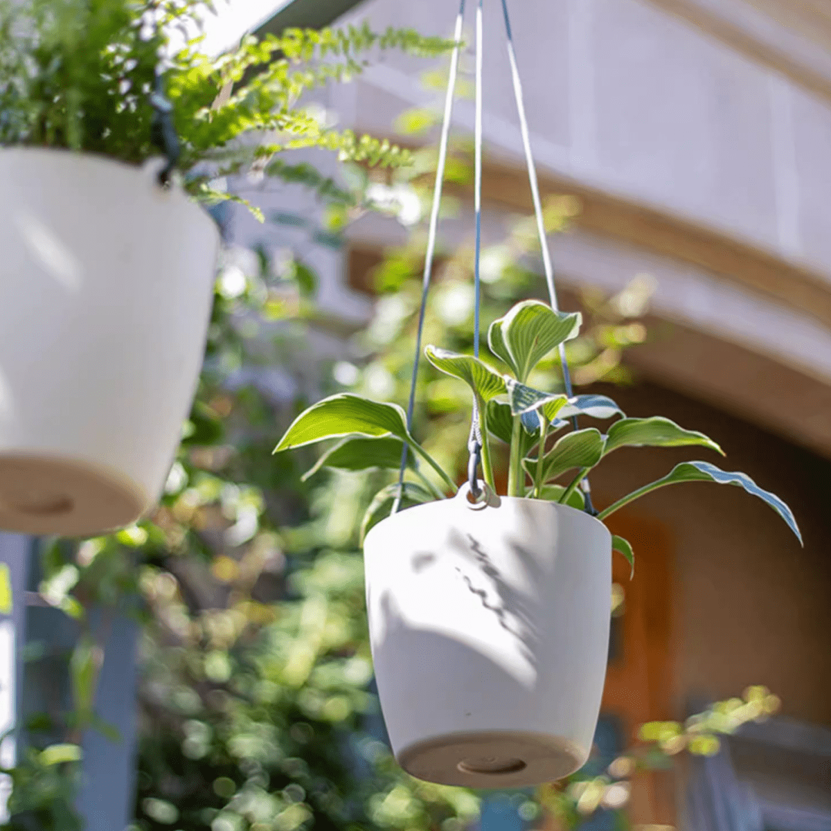Modern Resin Hanging Planter for Artificial Plants - Cheeky Garden