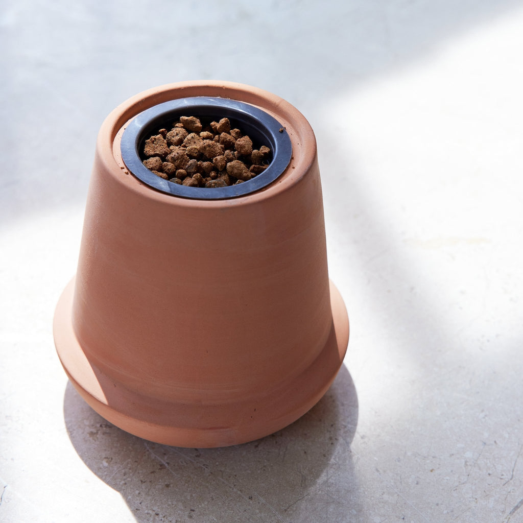 Modern Terracotta Grow Kits - Cheeky Garden
