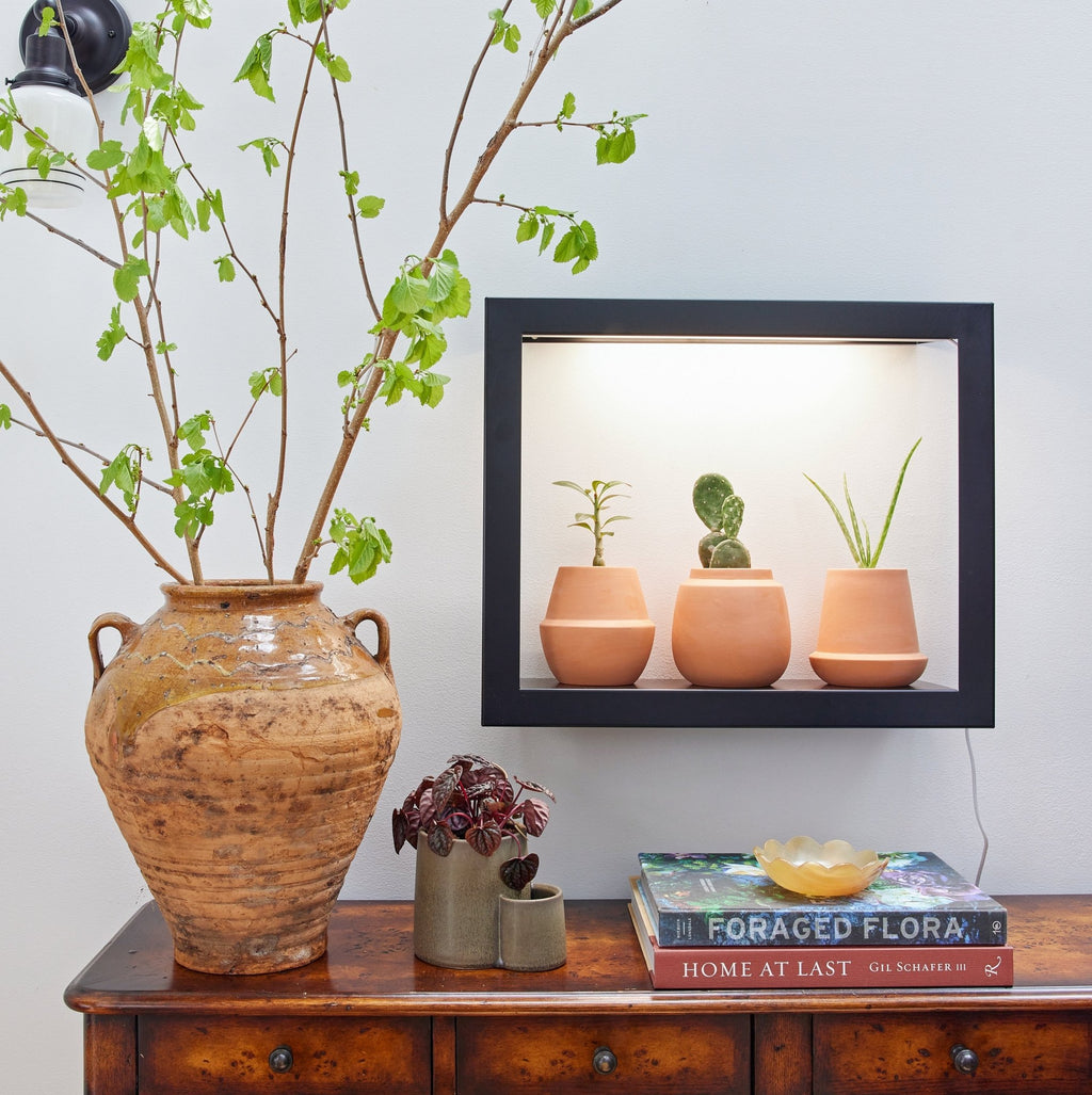 Modern Terracotta Grow Kits - Cheeky Garden