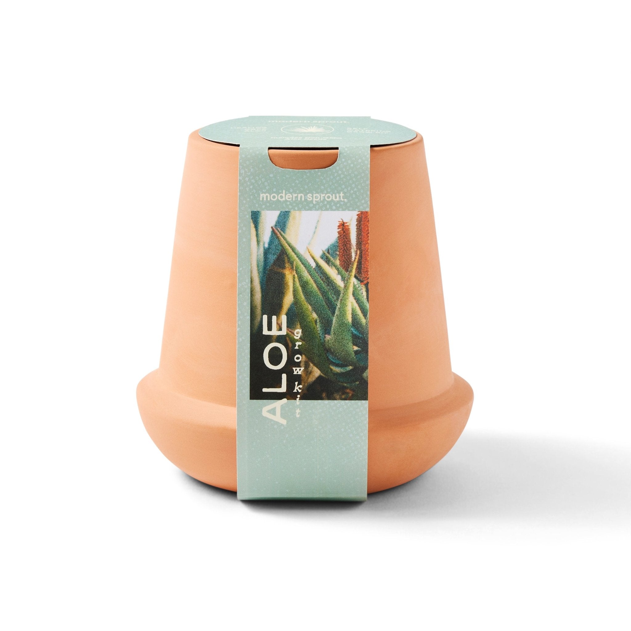 Modern Terracotta Grow Kits - Cheeky Garden