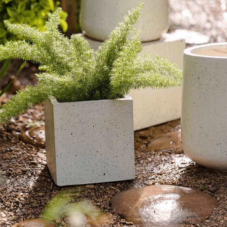 Modern White Planter Square - Cheeky Garden