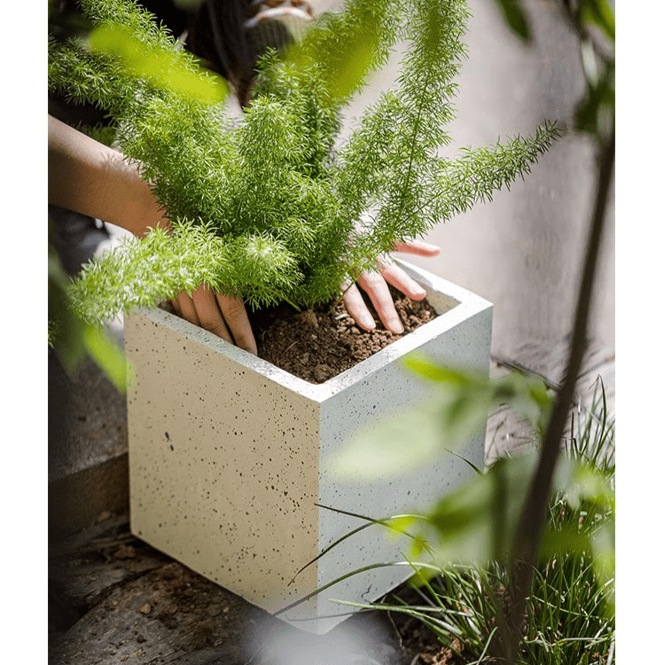 Modern White Planter Square - Cheeky Garden