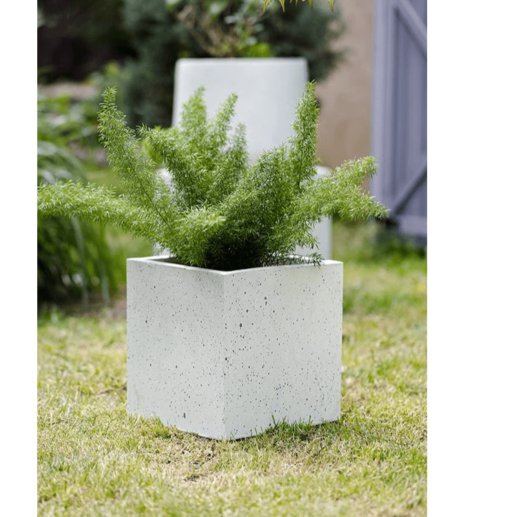 Modern White Planter Square - Cheeky Garden