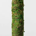Moss Pole – Green Preserved Climbing Support - Cheeky Garden