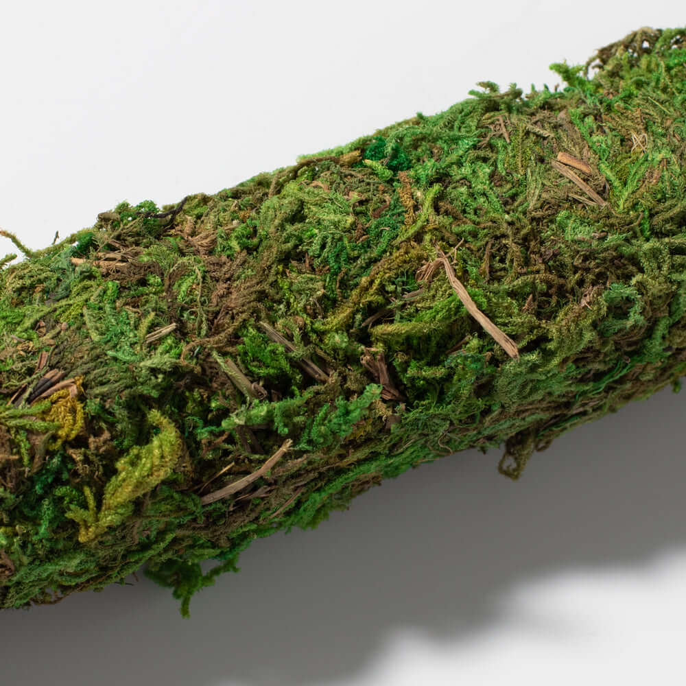 Moss Pole – Green Preserved Climbing Support - Cheeky Garden