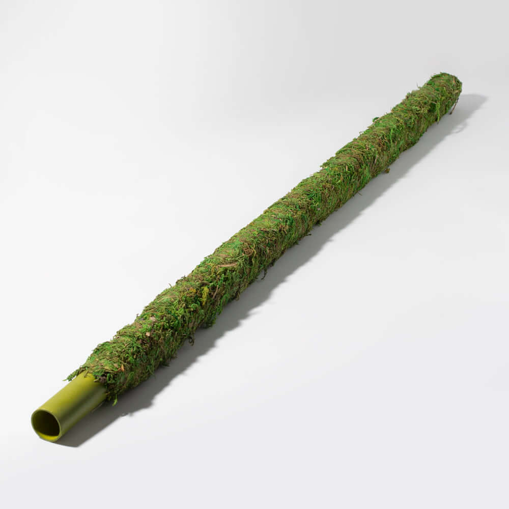Moss Pole – Green Preserved Climbing Support - Cheeky Garden