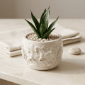 Mustang Horse Relief Planter – Gypsum White 3" - Cheeky Garden