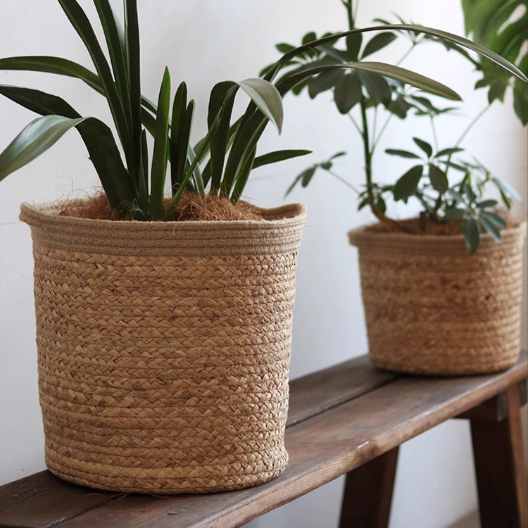 Natural Cylinder Storage and Planter Basket - Cheeky Garden