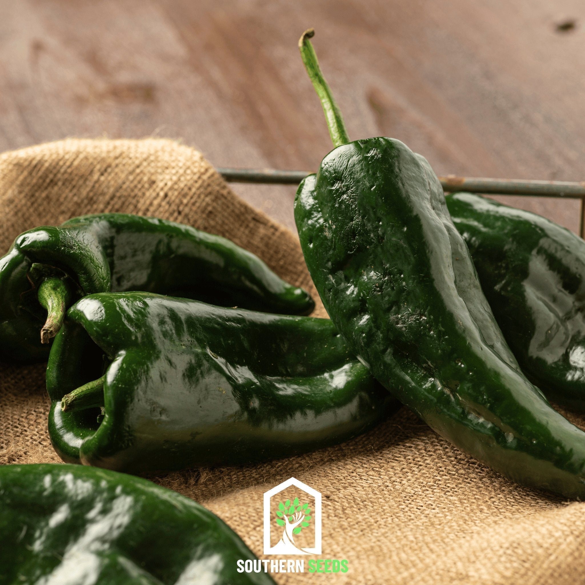 Pepper Seed Collection – 6 Essential Heirloom Peppers - Cheeky Garden
