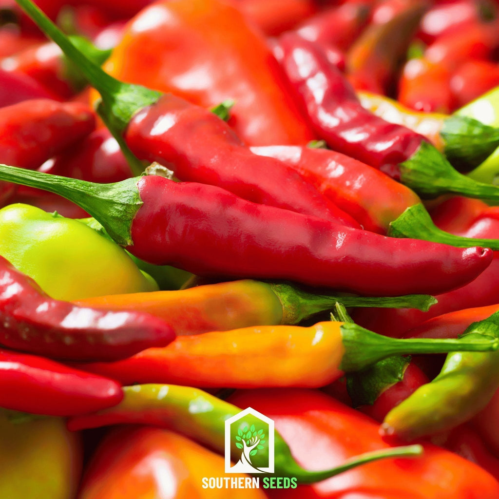 Pepper Seed Collection – 6 Essential Heirloom Peppers - Cheeky Garden