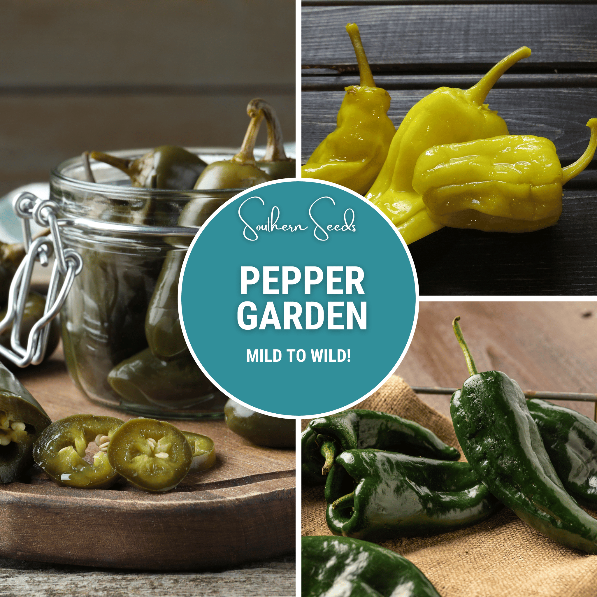 Pepper Seed Collection – 6 Essential Heirloom Peppers - Cheeky Garden