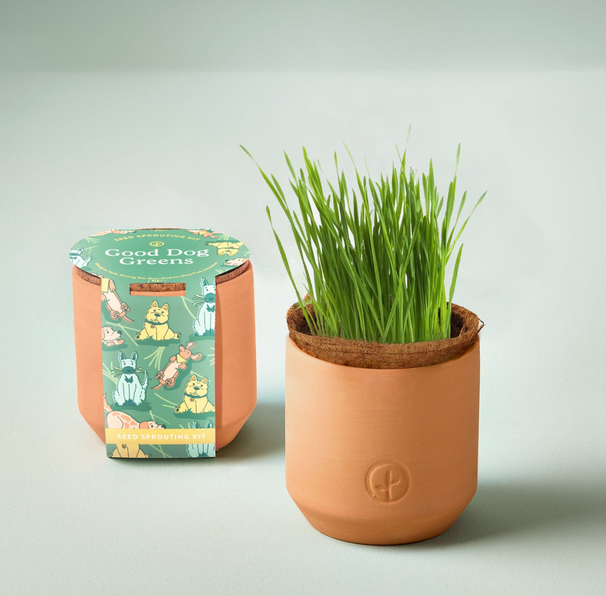 Pet Tiny Terracotta Grow Kits - Cheeky Garden