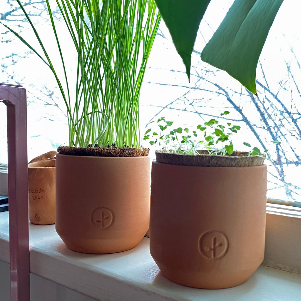 Pet Tiny Terracotta Grow Kits - Cheeky Garden