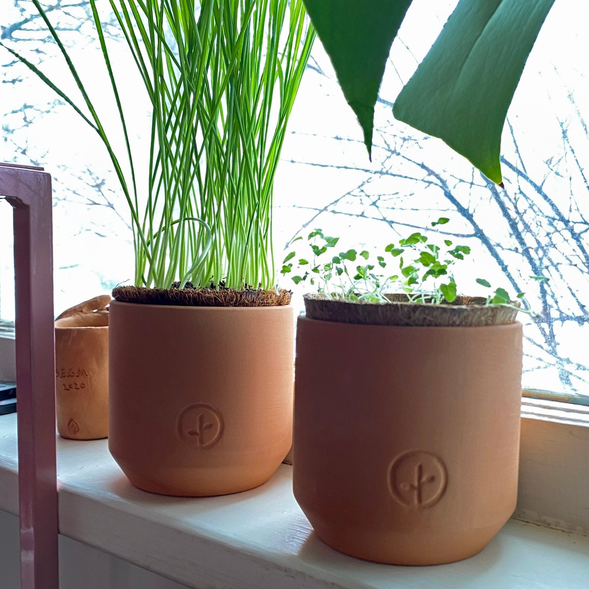 Pet Tiny Terracotta Grow Kits - Cheeky Garden