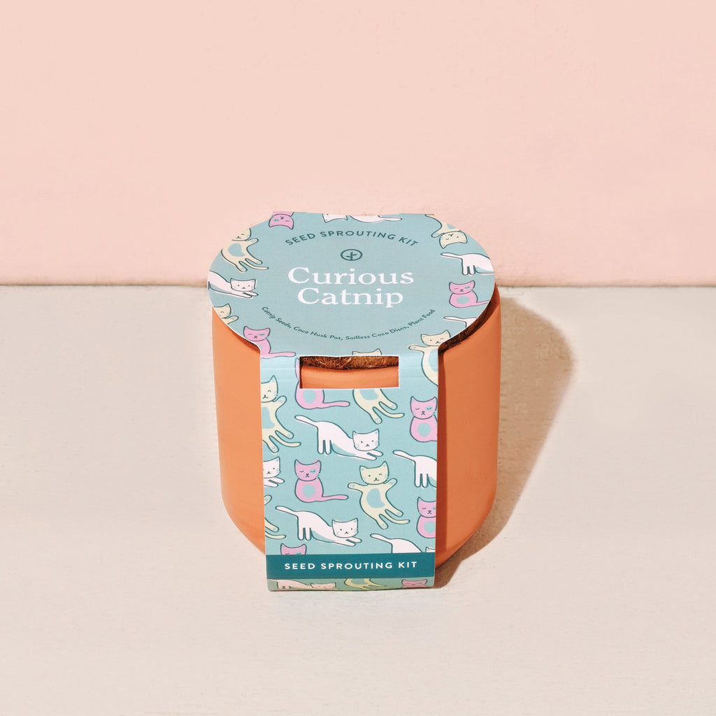 Pet Tiny Terracotta Grow Kits - Cheeky Garden