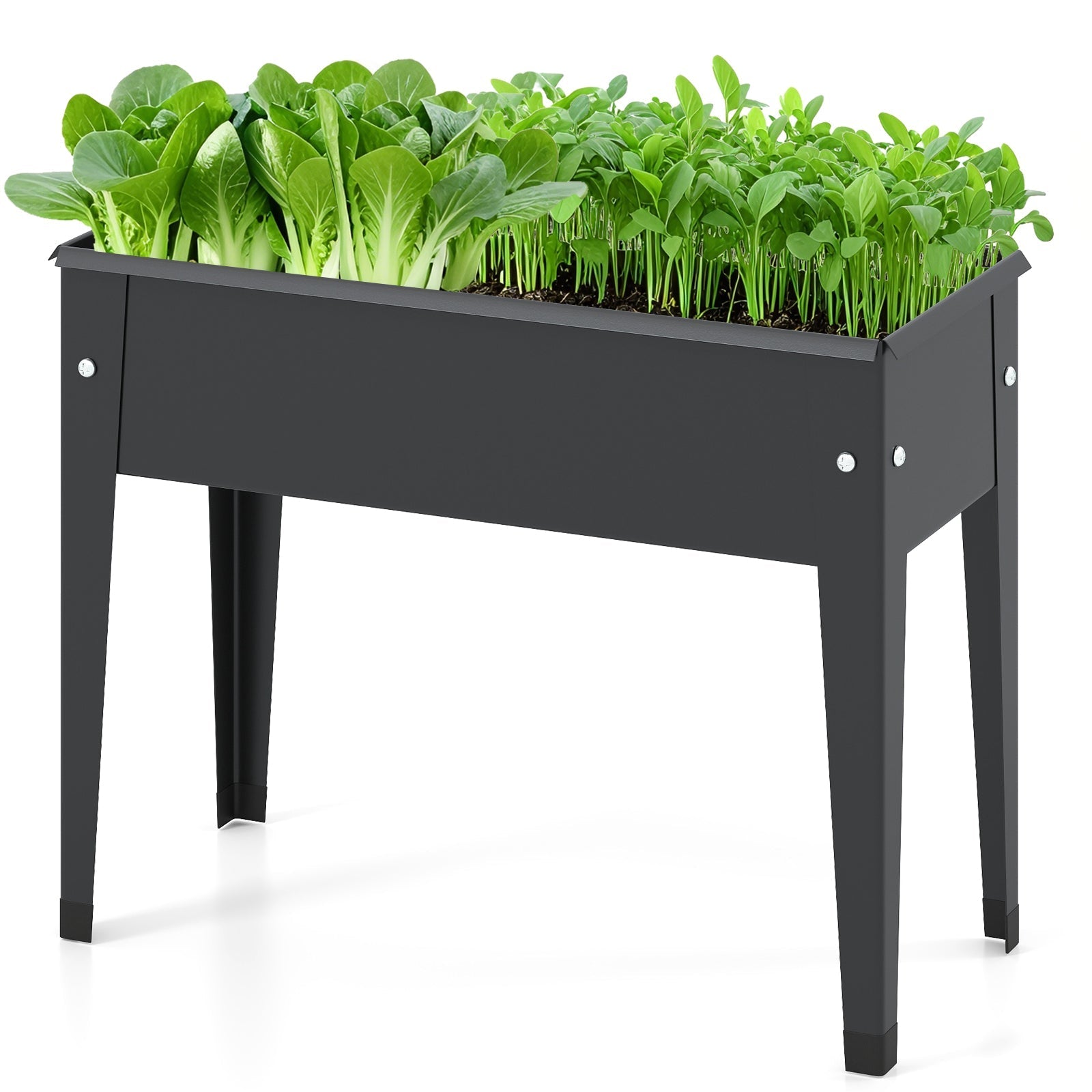 Raised Garden Bed Elevated Metal Planter Box with Legs Drainage Holes - Cheeky Garden