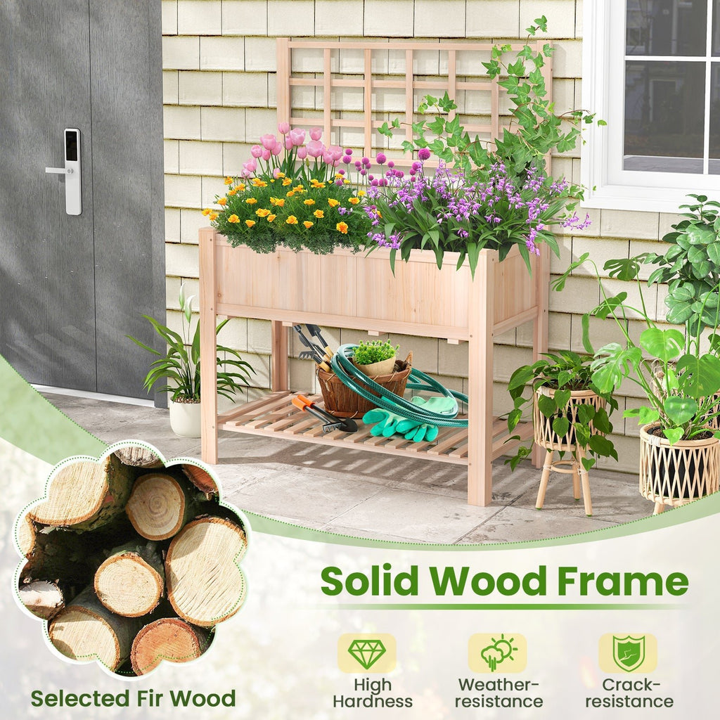 Raised Garden Bed Elevated Wooden Planter Box with Trellis - Cheeky Garden