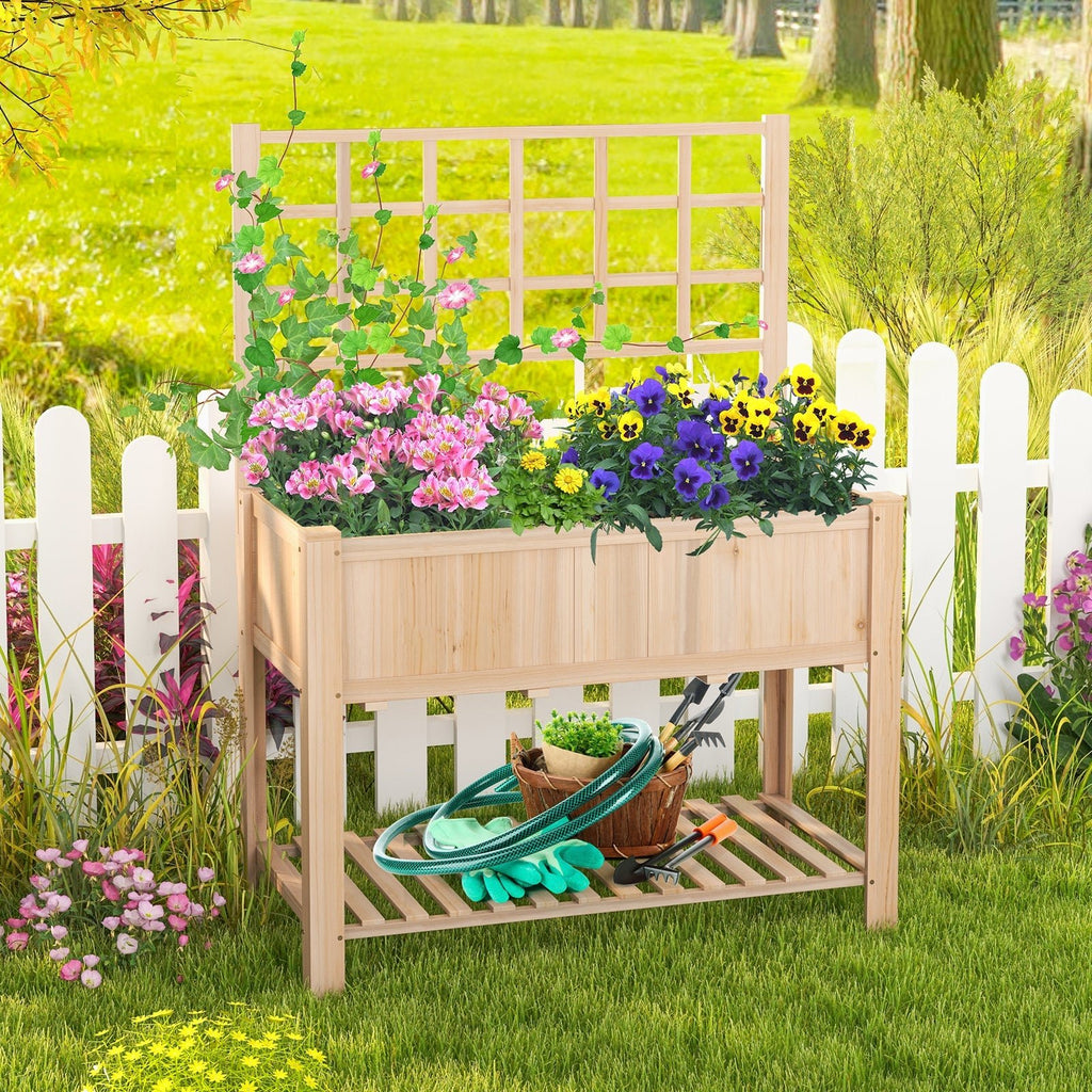 Raised Garden Bed Elevated Wooden Planter Box with Trellis - Cheeky Garden