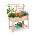 Raised Garden Bed Elevated Wooden Planter Box with Trellis - Cheeky Garden