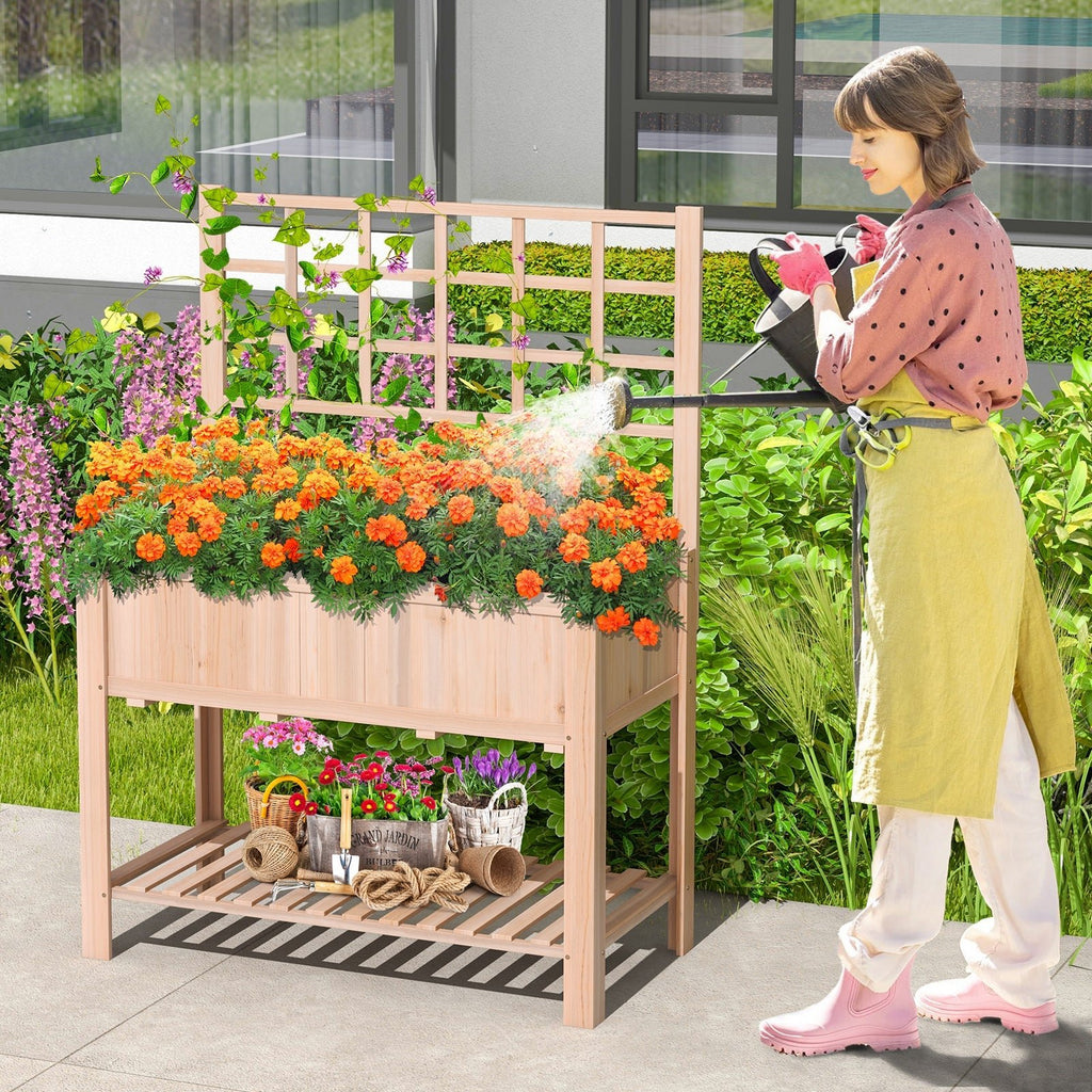 Raised Garden Bed Elevated Wooden Planter Box with Trellis - Cheeky Garden