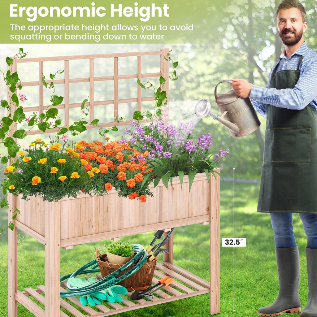 Raised Garden Bed Elevated Wooden Planter Box with Trellis - Cheeky Garden