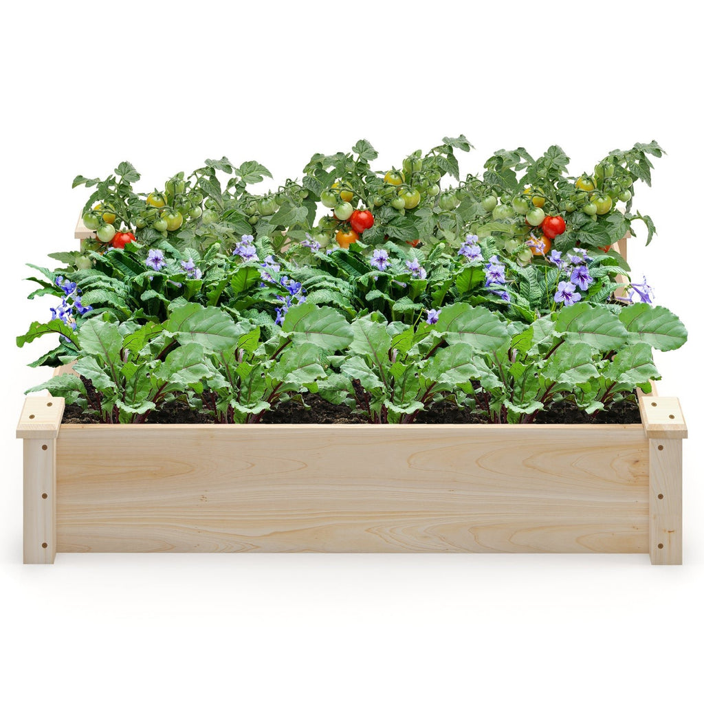 Raised Garden Bed Fir Wood Wooden Square Wood Planter Box for Garden - Cheeky Garden