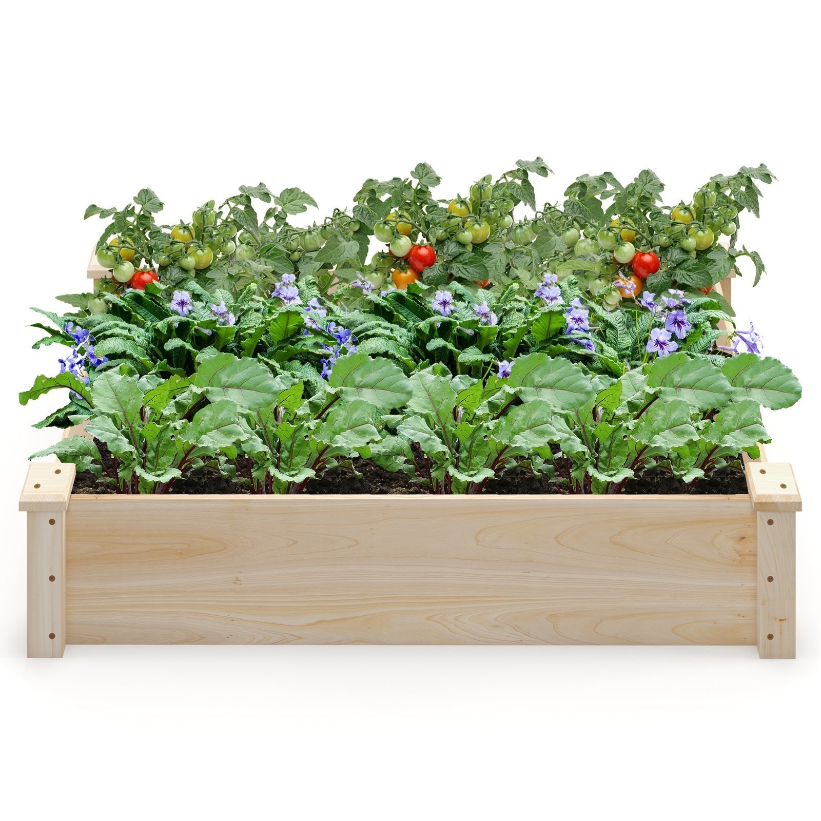Raised Garden Bed Fir Wood Wooden Square Wood Planter Box for Garden - Cheeky Garden
