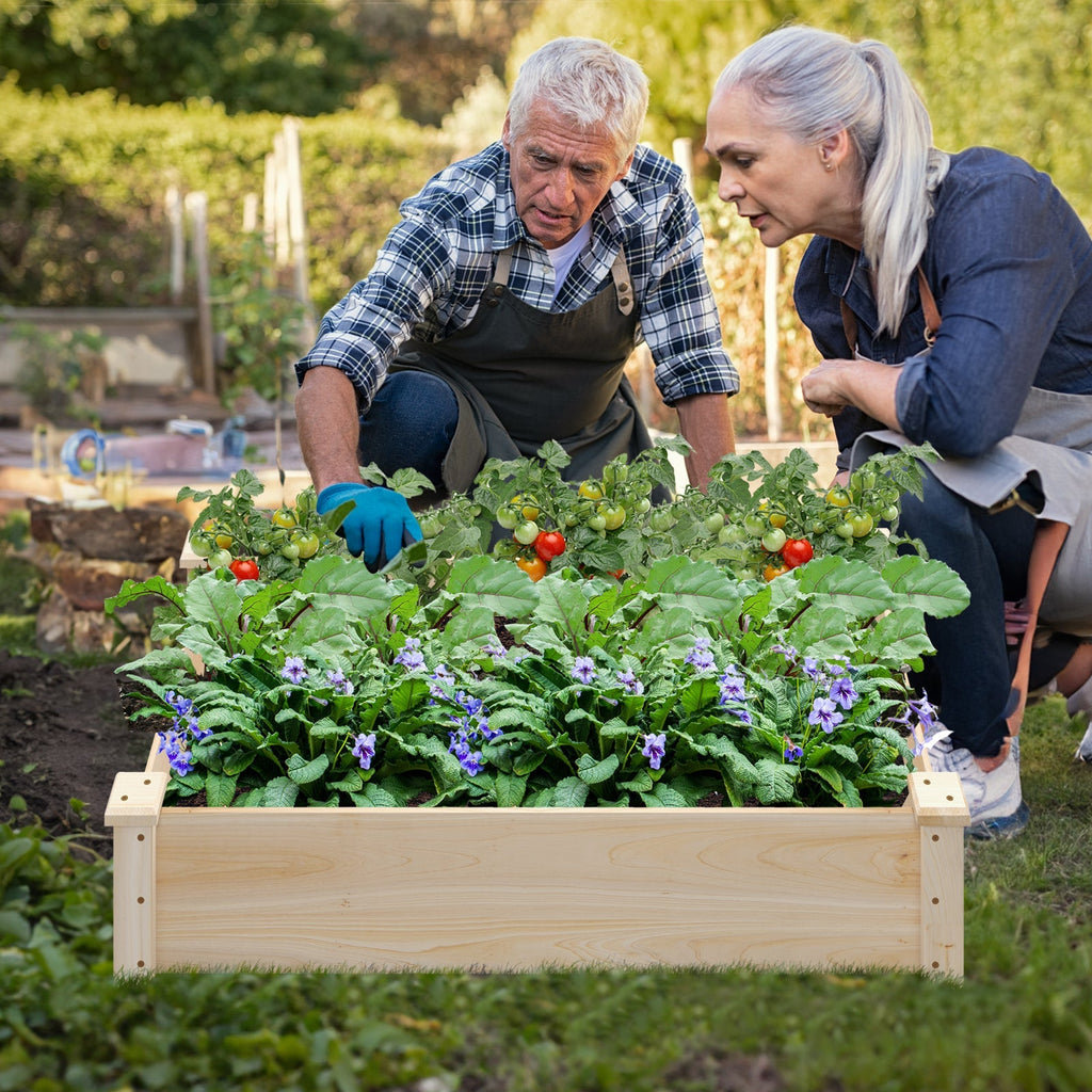 Raised Garden Bed Fir Wood Wooden Square Wood Planter Box for Garden - Cheeky Garden
