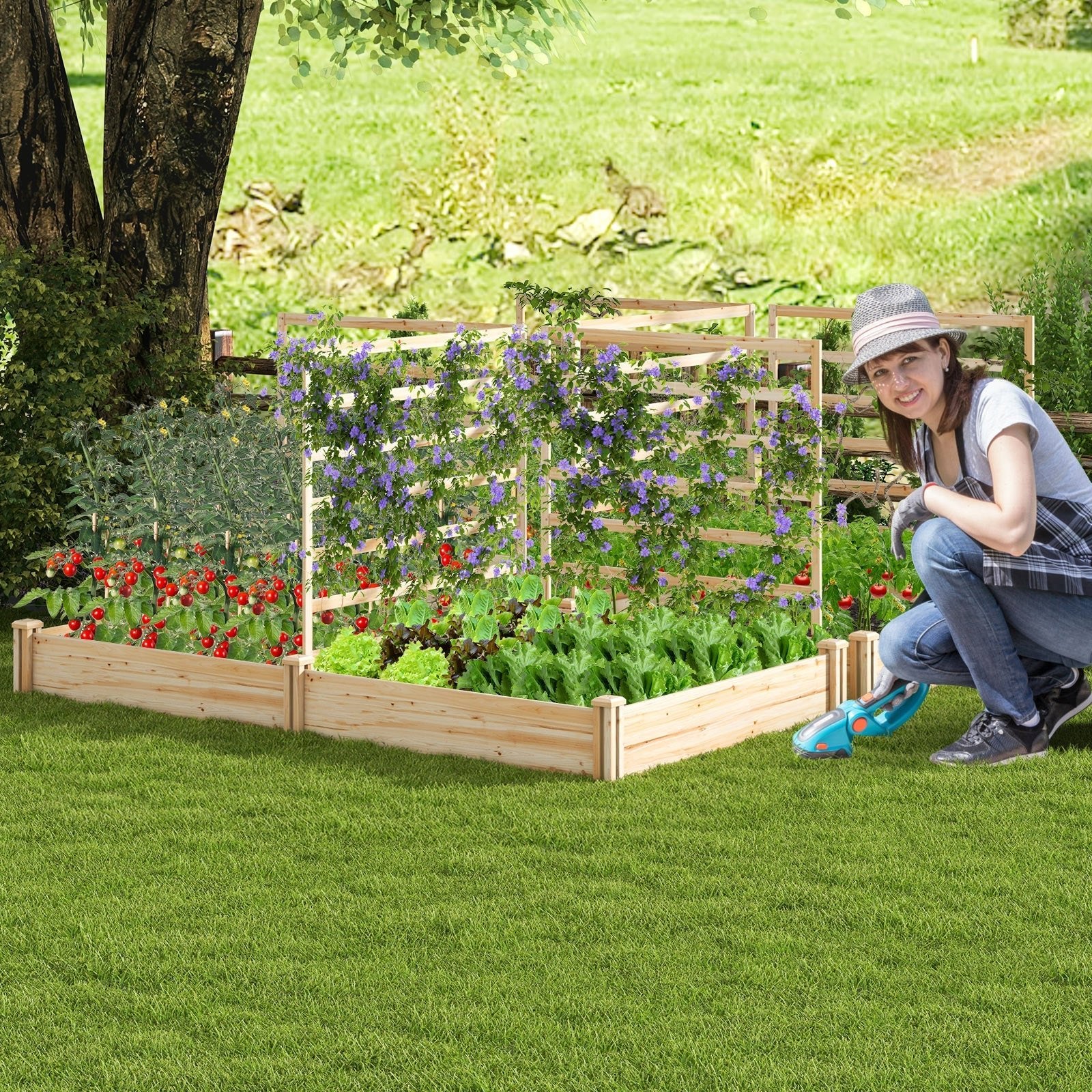 Raised Garden Bed with 2 Planter Boxes and 3 Trellis-Natural - Cheeky Garden