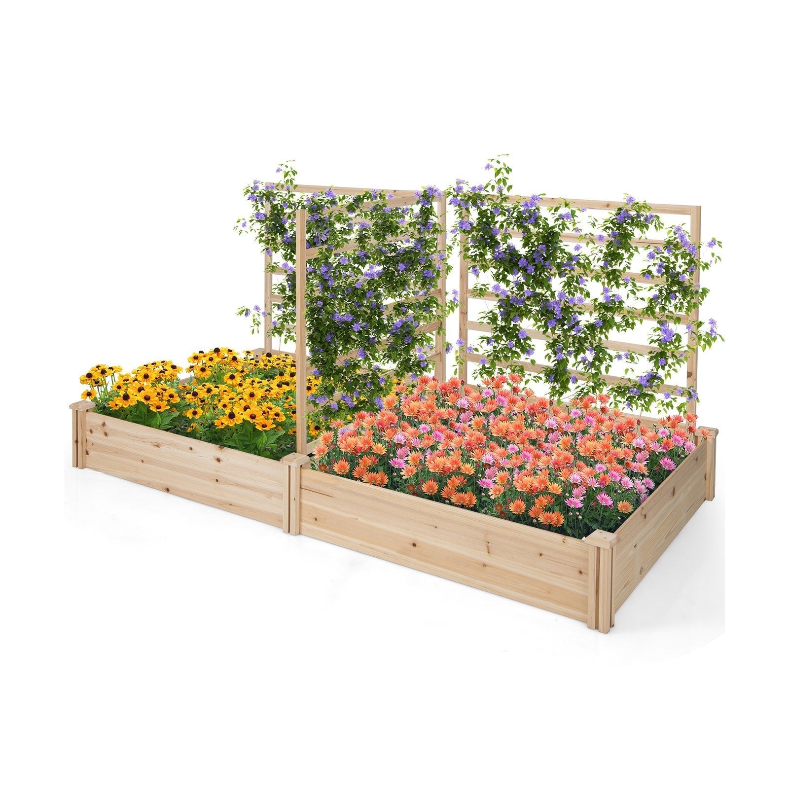 Raised Garden Bed with 2 Planter Boxes and 3 Trellis-Natural - Cheeky Garden