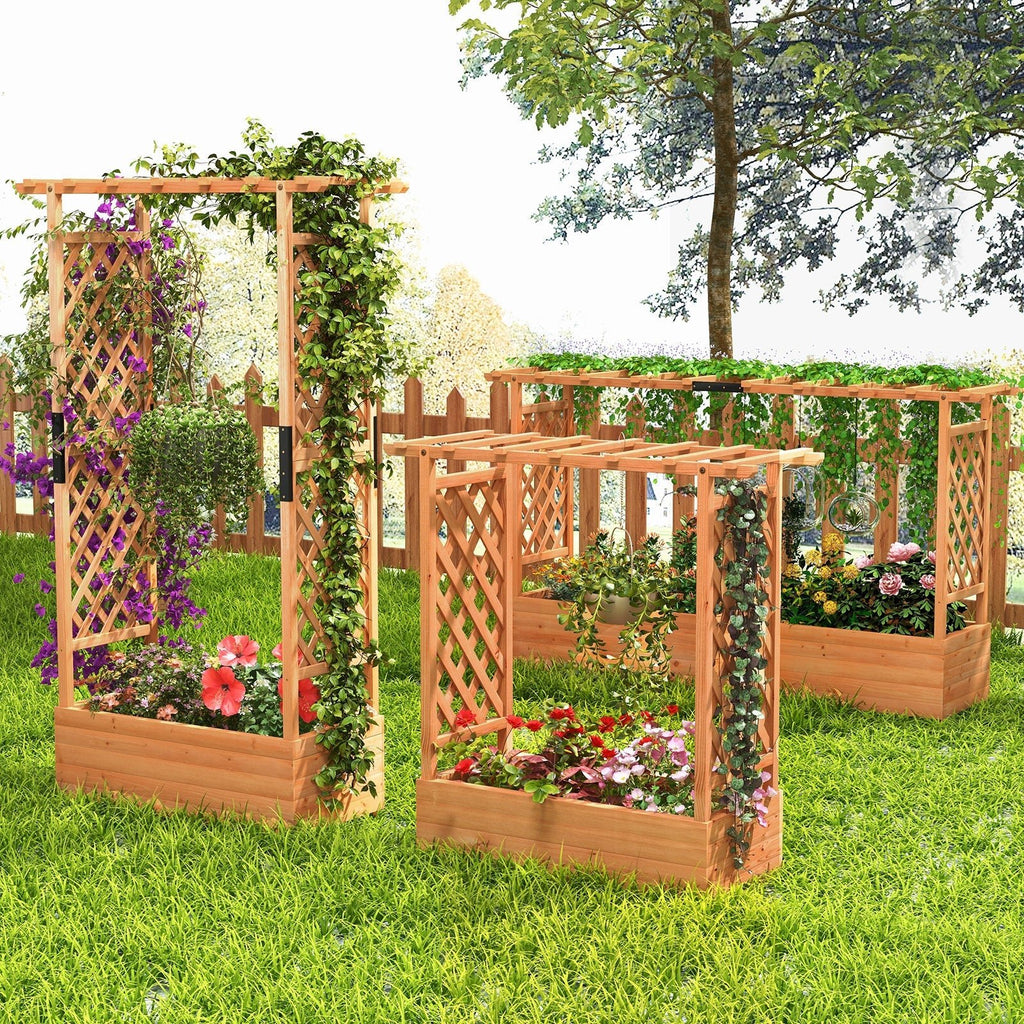 Raised Garden Bed with Arch Trellis-Orange - Cheeky Garden
