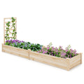 Raised Garden Bed with Planter Box and Trellis-Natural - Cheeky Garden