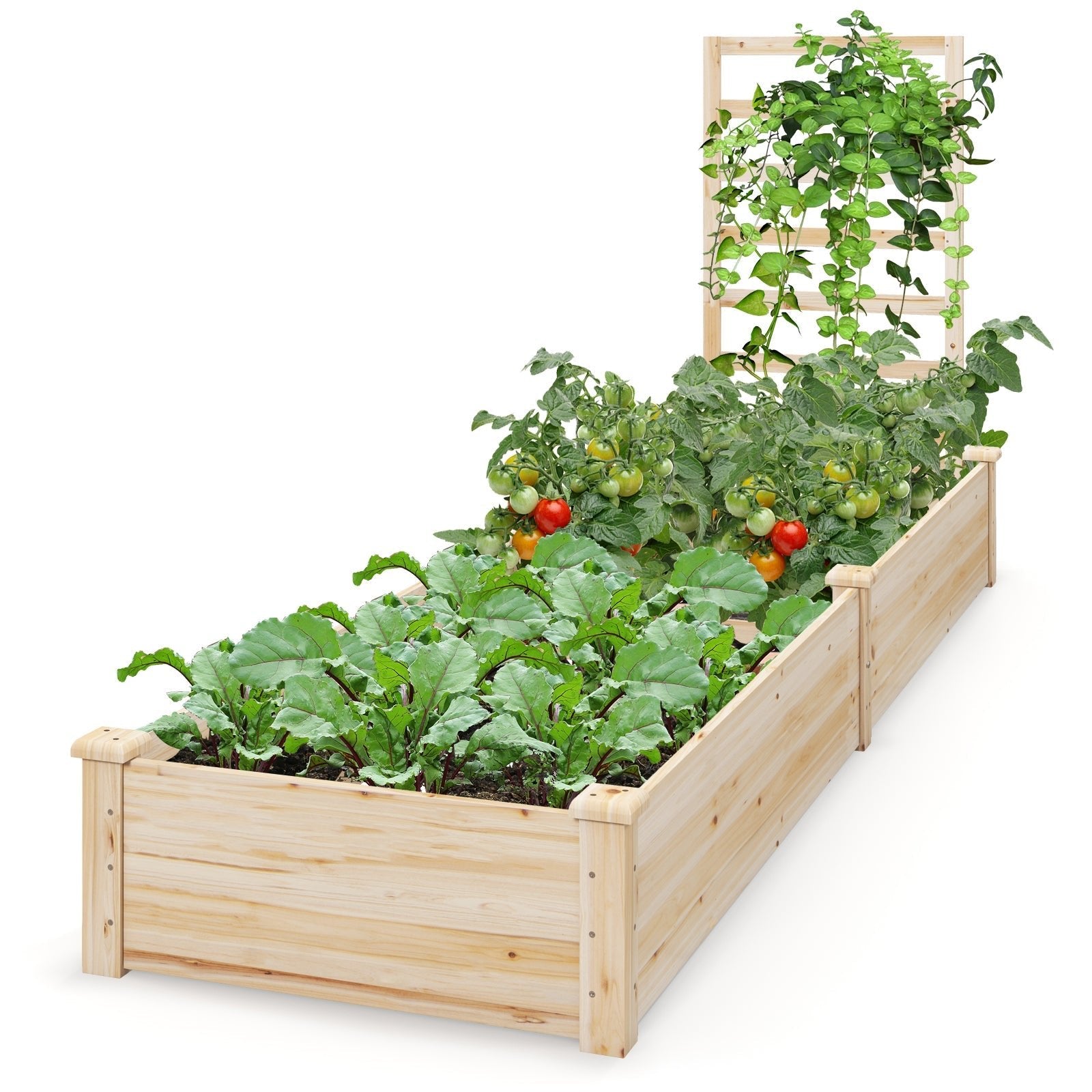 Raised Garden Bed with Planter Box and Trellis-Natural - Cheeky Garden