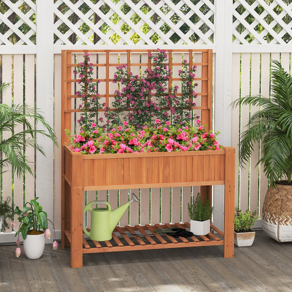 Raised Garden Bed with Trellis Wooden Elevated Planter Box with Legs - Cheeky Garden