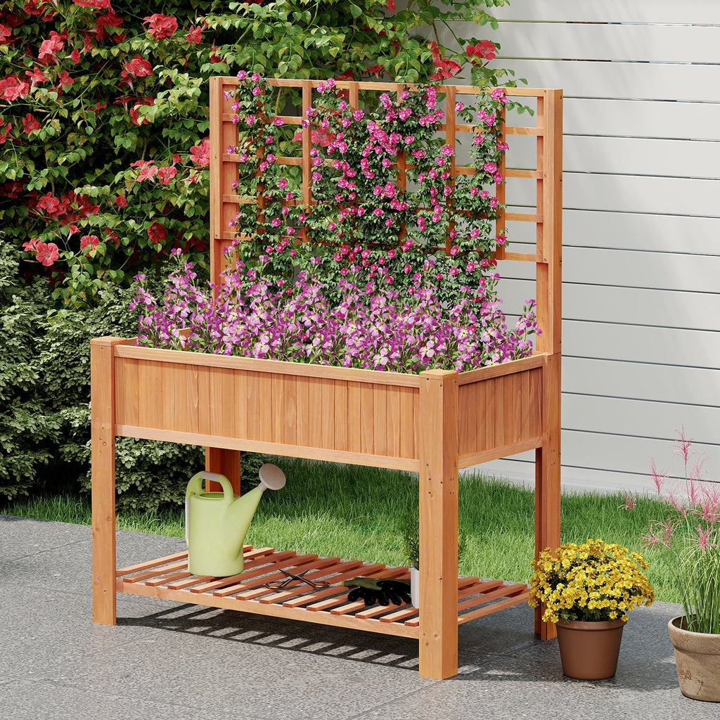 Raised Garden Bed with Trellis Wooden Elevated Planter Box with Legs - Cheeky Garden