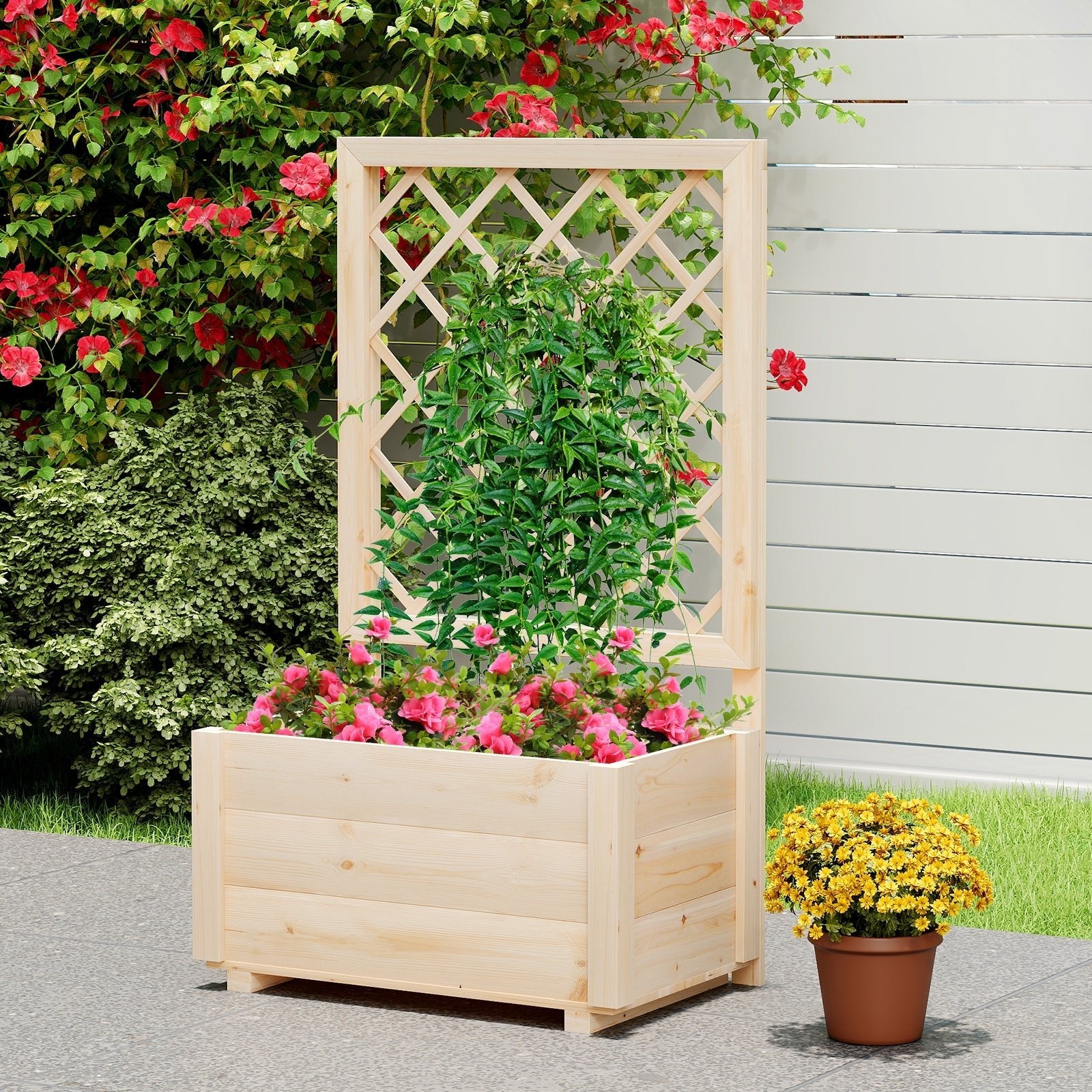 Raised Garden Bed Wooden Elevated Planter Box with Lattice Trellis-S - Cheeky Garden