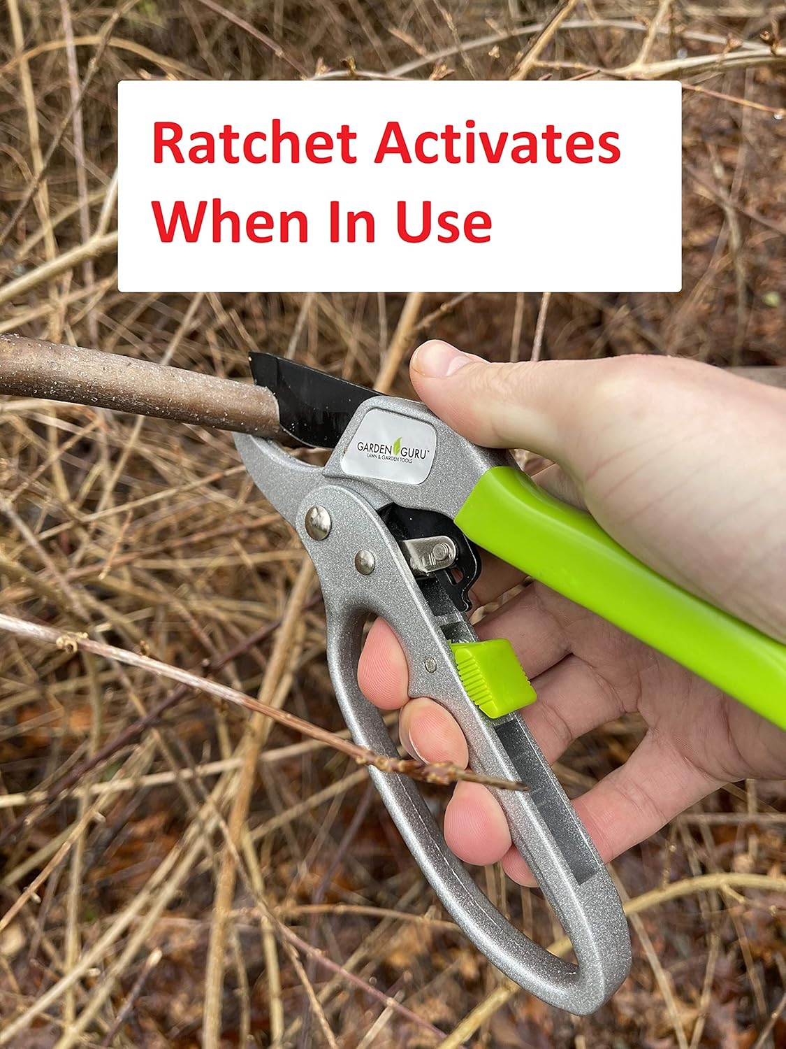 Ratchet Garden Pruning Shears Clippers - Cheeky Garden