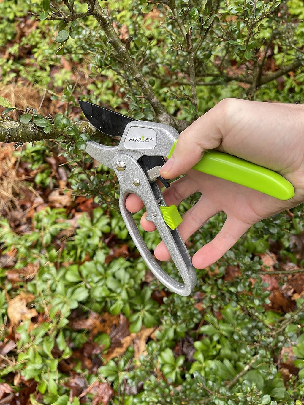 Ratchet Garden Pruning Shears Clippers - Cheeky Garden