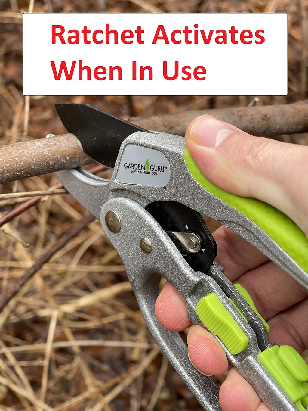 Ratchet Garden Pruning Shears Clippers Deluxe - Cheeky Garden