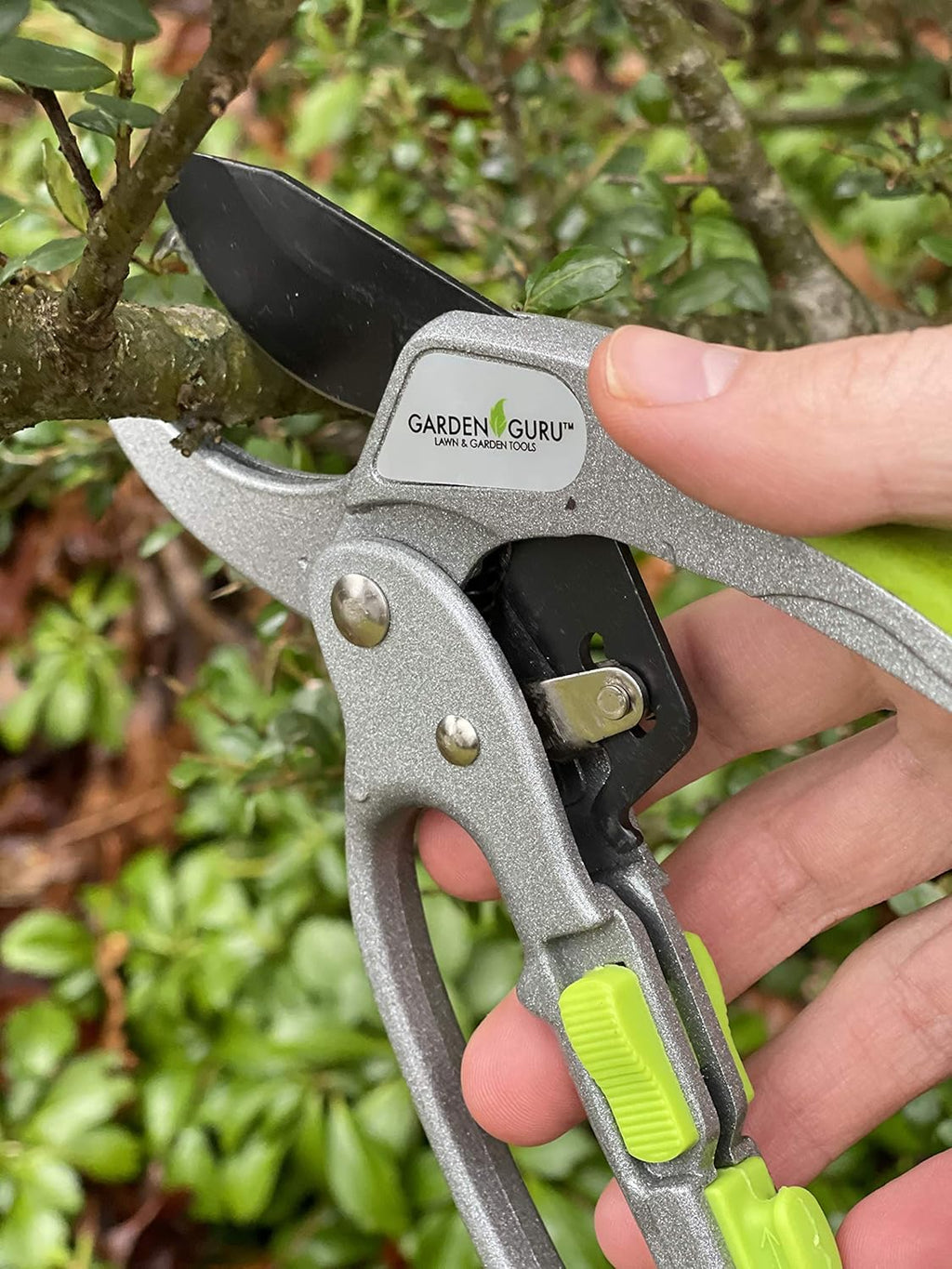 Ratchet Garden Pruning Shears Clippers Deluxe - Cheeky Garden