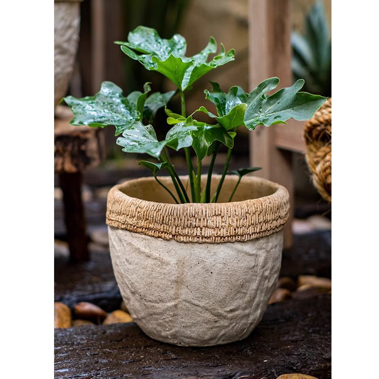 Rattan Pattern Edge Cement Planter - Cheeky Garden
