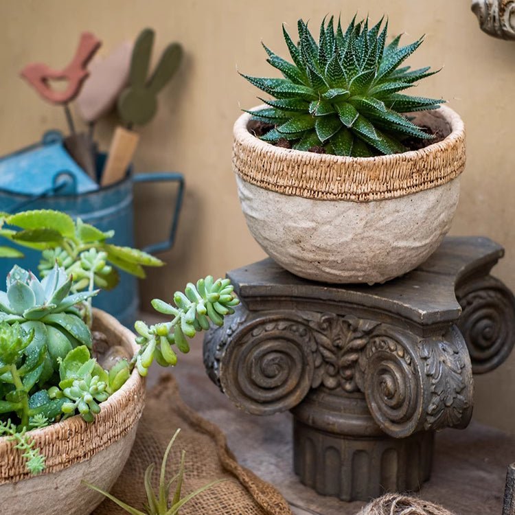 Rattan Pattern Edge Cement Planter - Cheeky Garden