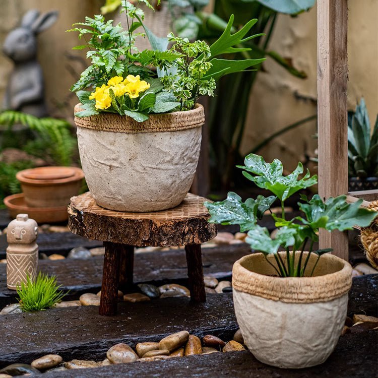 Rattan Pattern Edge Cement Planter - Cheeky Garden