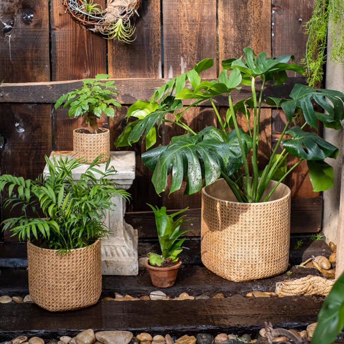 Rattan Texture Cement Planter - Cheeky Garden